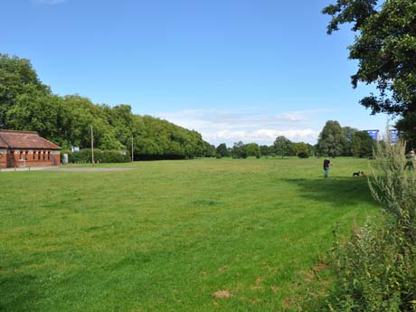 Kingsmeadow