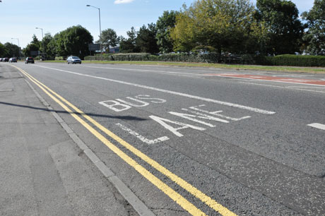 Bus _Lane _Road _Markings
