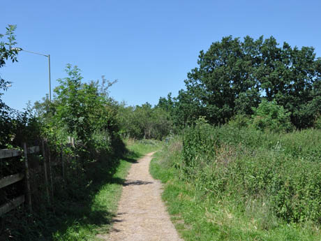 Dinton -Pastures -Country -Park